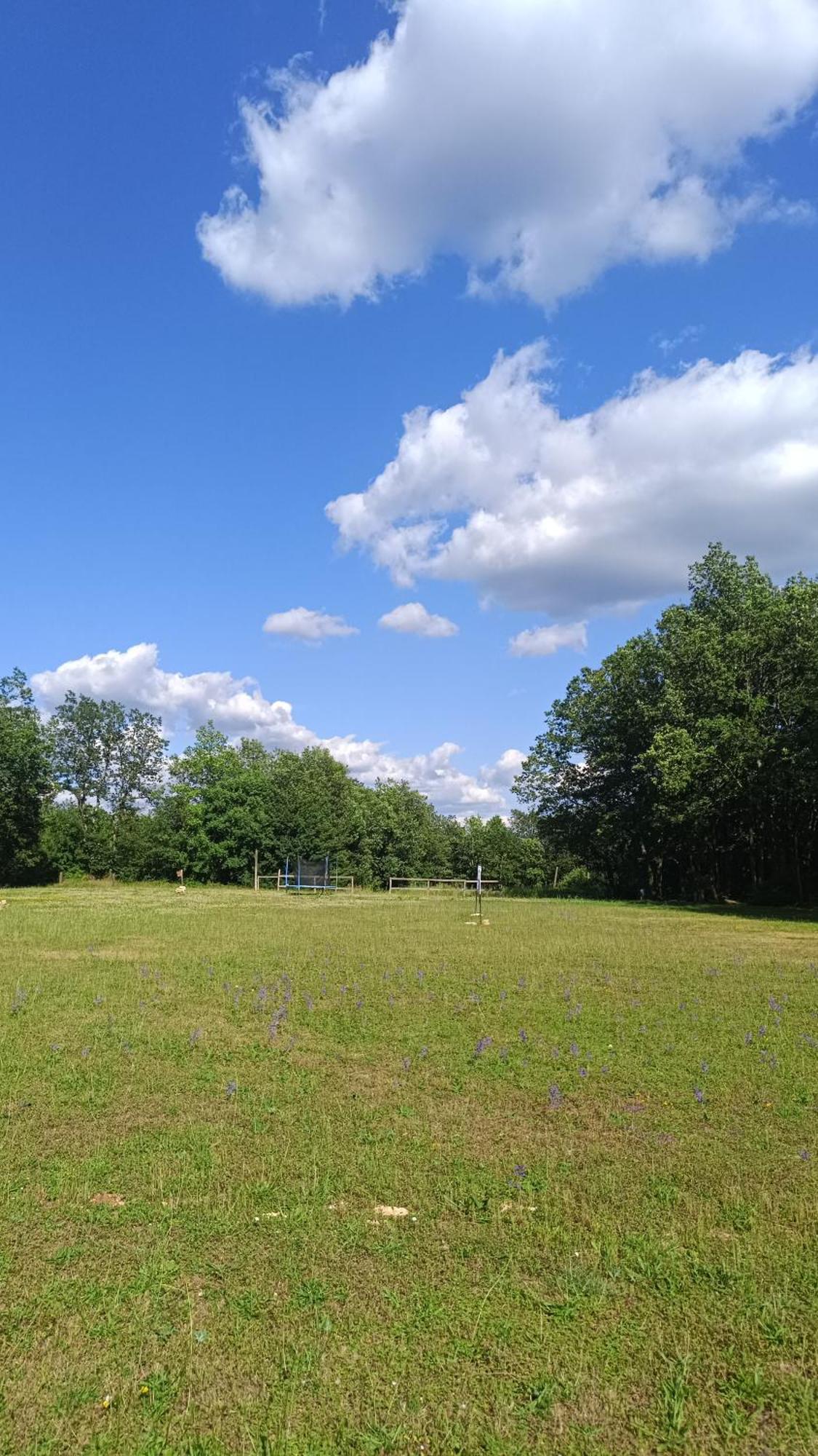 5 Personnes Au Cœur De La Nature