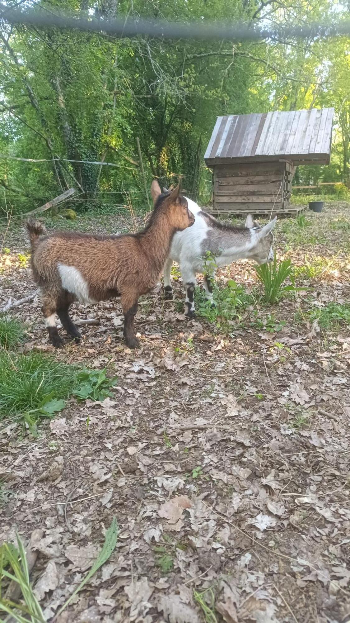 5 Personnes Au Cœur De La Nature * Saint-Aubin-de-Nabirat